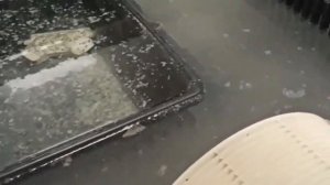 Очистка корпусов увлажнителей моек воздуха Venta