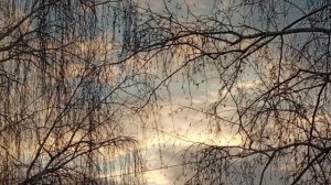 Городской парк зимним утром