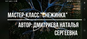 "Снежинка" МК Н.С. Дмитриевой, ДДК им. Д. Н.Пичугина. Новосибирск, 2024.