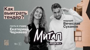 Митап: Как выиграть тендер? Екатерина Черняева