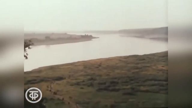 МБУ «Библиотека». Поэт и песенник. Ко дню рождения Анатолия Поперечного