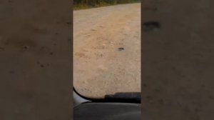 Красноярский край. Дорога на Богучаны