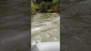 Мотовесло 9л.с.