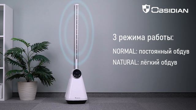 Напольный вентилятор OBSIDIAN BS-FN2301A смотреть онлайн