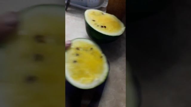 Арбузы порционные Лен.обл.2019г. смотреть онлайн