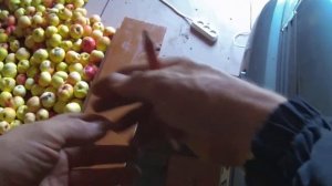 Снятие и установка продольной растяжки Лада Калина - №1