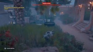 Assassin's Creed Origins to kill the sleeping Medunamun the False Oracle