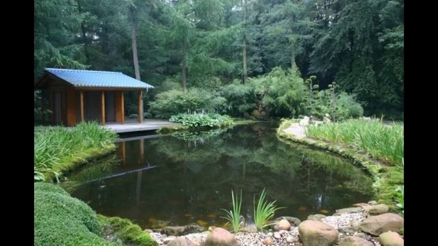 пруд для дачи и дома смотреть онлайн