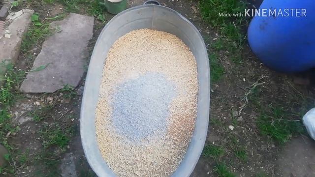 Комбикорм для кур несушек