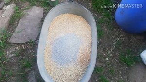 Комбикорм для кур несушек