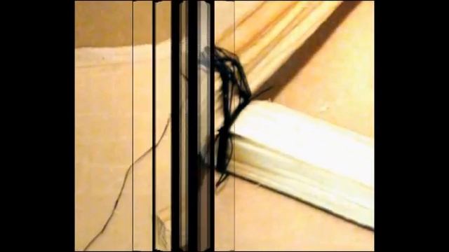 Птица из фисташек смотреть онлайн