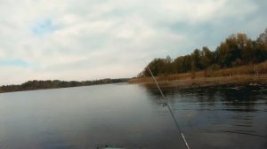 Спиннинг MIFINE ENIGMA Extreme. Обзор и тест на Воде