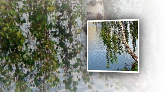 Андрей Панюхин и Татьяна Богуш Береза белая смотреть онлайн