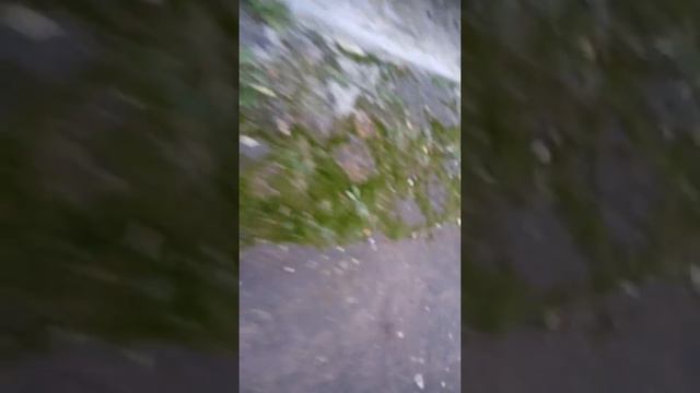 ТехКом домофон