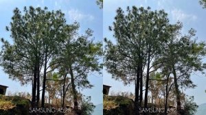 Samsung Galaxy A52S 5G vs Samsung Galaxy A52 5G Camera Test