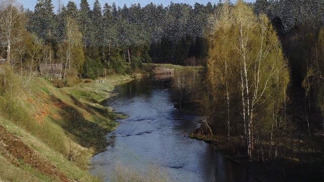 Пейзажи в посёлке Сиверский