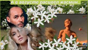 А в августе расцвел жасмин...