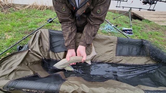 Поймал осетра весенняя рыбалка в Краснодаре с корабликом LifeFishing23 смотреть онлайн