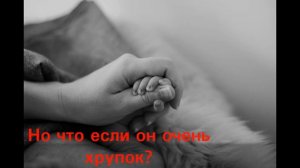 Джоди Пиколт.  Хрупкая душа