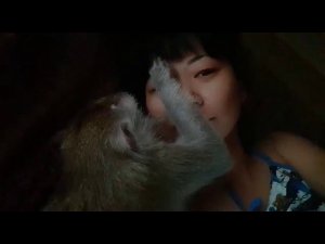 Кореянка @ обезьянка )