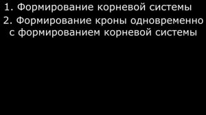 ВЫРАЩИВАНИЕ УРОЖАЙНОГО ПЕРЦА от семян до уборки урожая