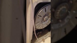 При пуске скрипит и не крутит барабан стиральная машина LG F1056QD