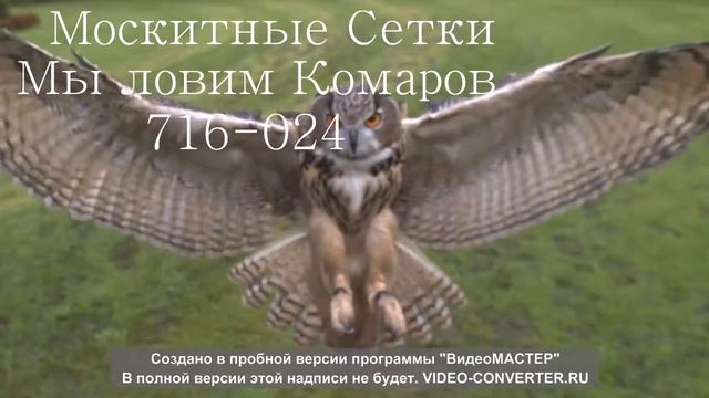 Красивая реклама москитных сеток