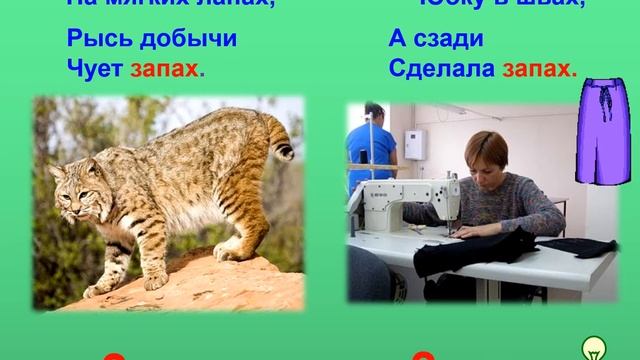Презентация 