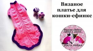 Вязаное платье для кошки сфинкс