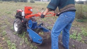 Транспортёрная Копалка к Мотоблоку 2017 ....