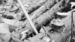 1969 год. Ханты-Мансийский округ. Леспромхоз Советский