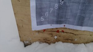 23 февраля пострелушки ВПО-208 на 300 метров