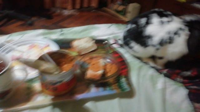 VLOG. Марлик кушает бутерброд с баклажанной икрой смотреть онлайн