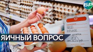 Куриные яйца в России продолжают дешеветь
