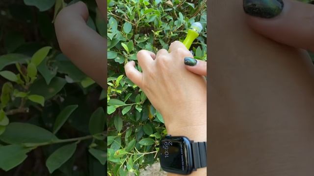 Освежающая сыворотка-роллер для глаз Baby Bright Алое Вера и Коллаген #тайланд смотреть онлайн