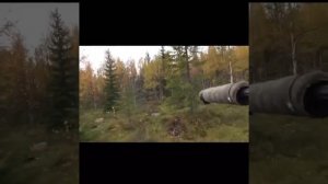 Охота на лося в Швеции