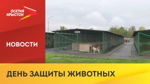 4 октября, День защиты животных