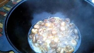 Блюда на тандыре в казане и в тандыре.