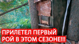 ПОПАЛСЯ ПЕРВЫЙ РОЙ СЕЗОН 2022))