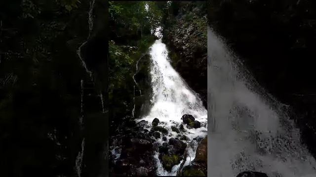 невеста в свадебном платье смотреть онлайн