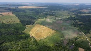 Селивановка 2021. Июнь. Обзор местности