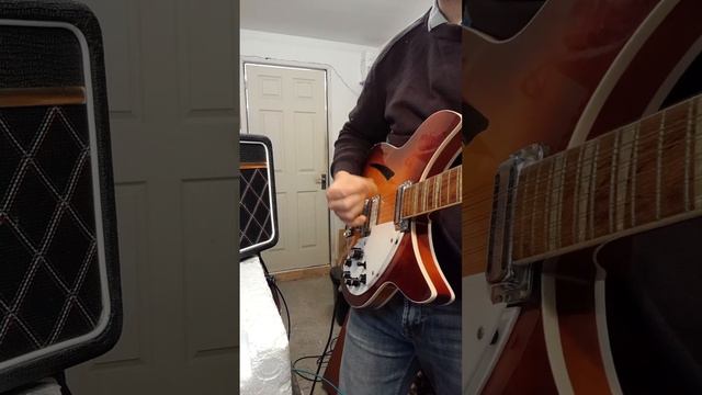 Rickenbacker 360/12v64 with an OSO Marauder Pedal Scratchplate смотреть онлайн
