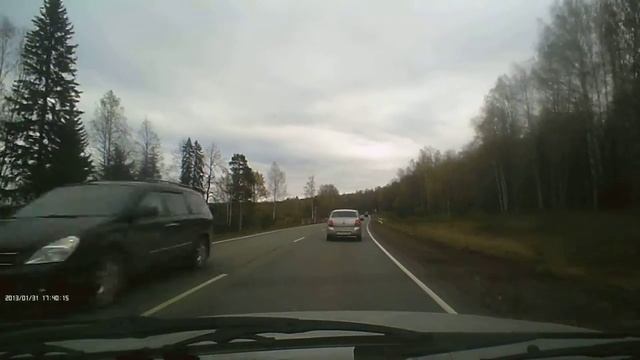 01.10.2015 лось на трассе Якшур - бодья смотреть онлайн