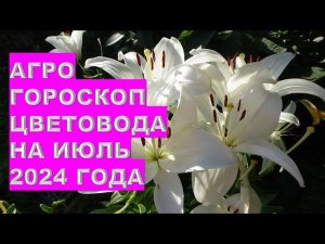 Агрогороскоп цветовода на июль 2024 года. Florist's agrohoroscope for July 2024