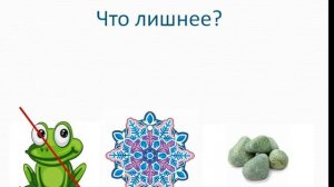 Дидактическая игра " Третий лишний"