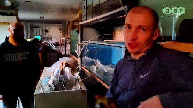 Вот так СЮПРИЗ нас ждал на РАЗВОДНЕ АЛЕНКИ И СЕРЕЖКИ! смотреть онлайн