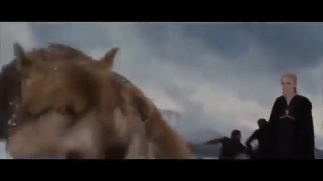 Сумерки