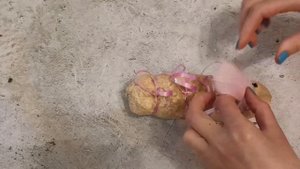 Поделка с живой травой. Травянчик. Травница.