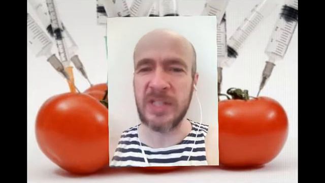 гмо и химия гмо и химия для начинающих что такое ГМО
