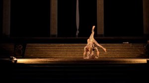 Арт-Лаборатория - акробатический парный танец "Зебры"